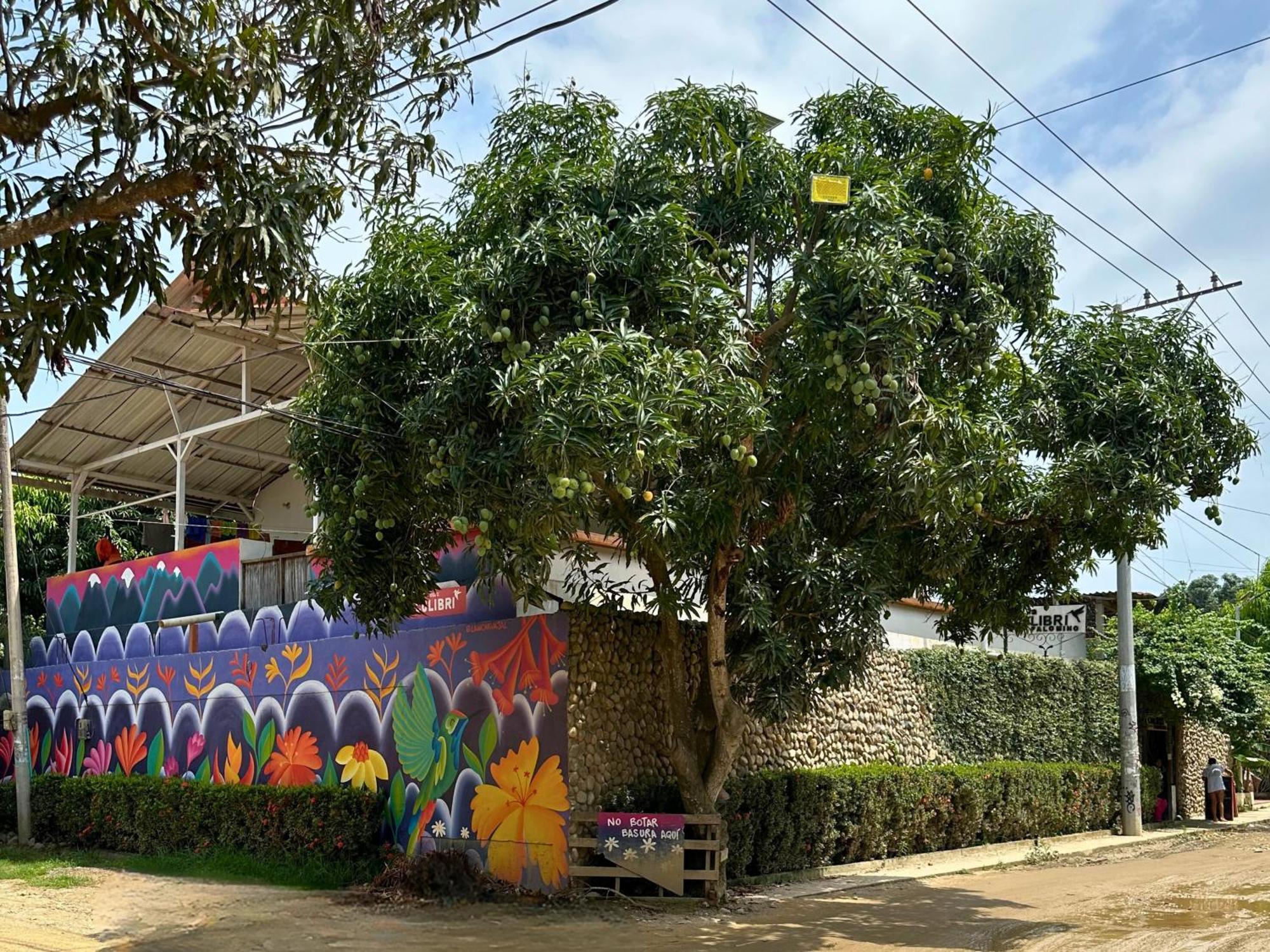 Casa Colibri Palomino Hotel Exterior foto